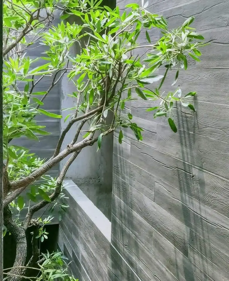 Spliced Wood